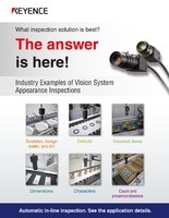 What inspection solution is best? The answer is here! Industry Examples of Vision System Appearance Inspections