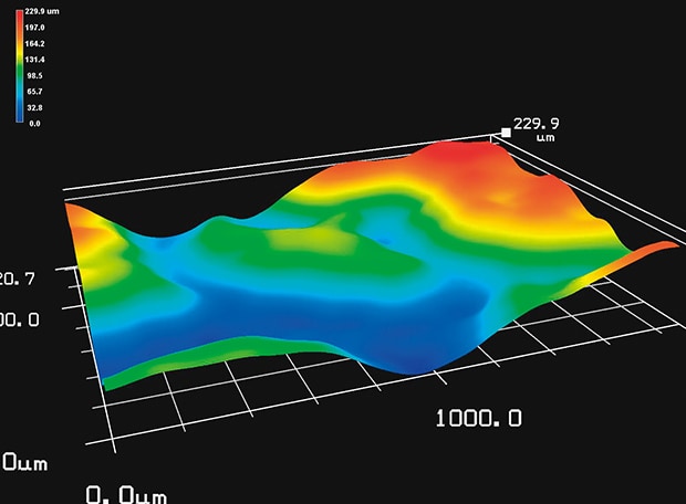 3D topographic image