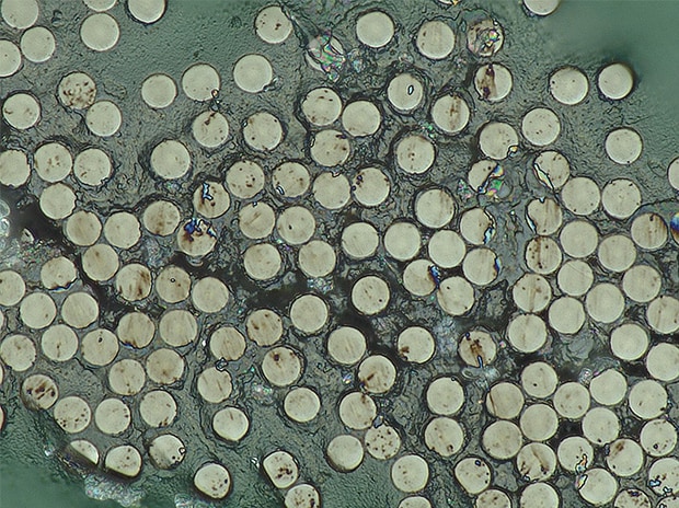 Observation and Measurement of Carbon Fibers Using Digital Microscopes