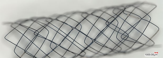 20×, mixed illumination The image stitching function allows observation over a wide field of view with high resolution.
