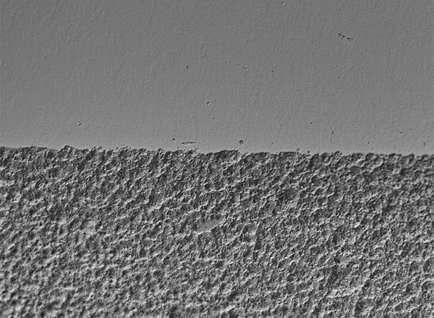 Observation of Clock Parts Using a Digital Microscope