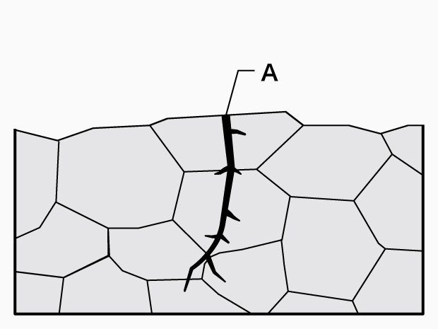 A. Transgranular crack