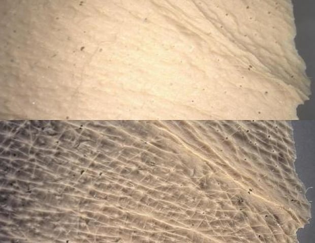 Top: conventional, bottom: multi-lighting image
