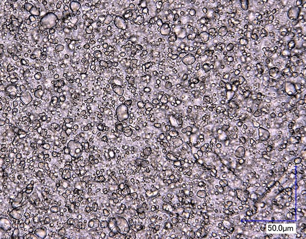 Emulsion observation (1000x)