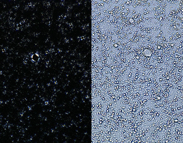 Emulsion observation with different lighting conditions