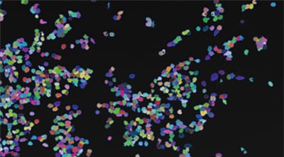 Counting expression events (fluorescent points) using cells as mask areas
