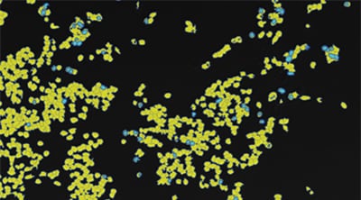 Counting expression events (fluorescent points) using cells as mask areas