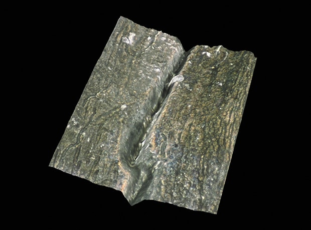 3D shape display of mold cracking (200x)
