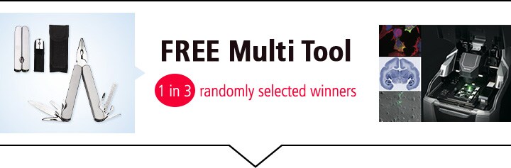 FREE ｃ [1 in 3] randomly selected winners