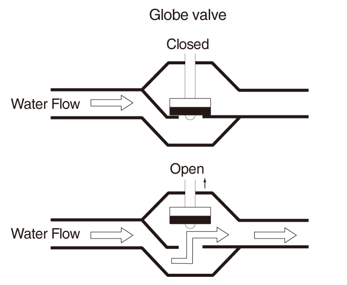 Globe valve