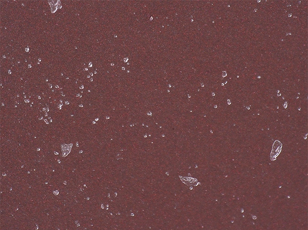 ZS-200, 500×, ring illumination, normal image