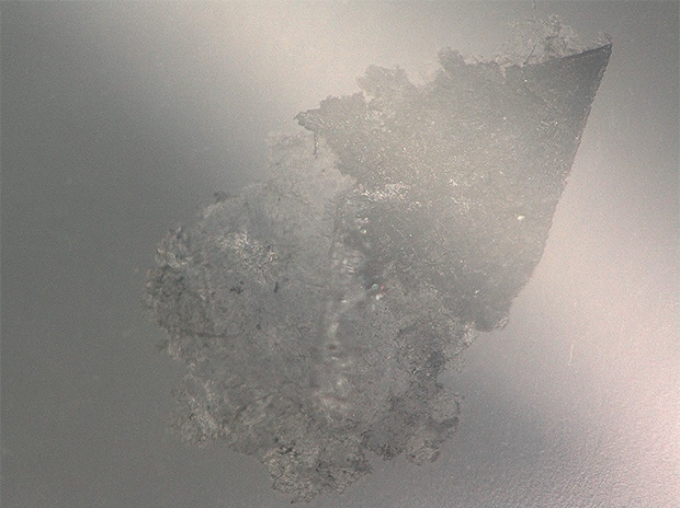 VH-Z20, 150×, ring illumination, normal image