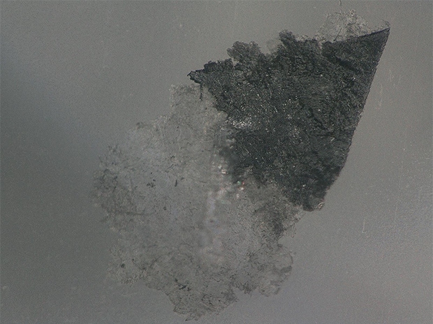 VH-Z20, 150×, image after ring-reflection removal