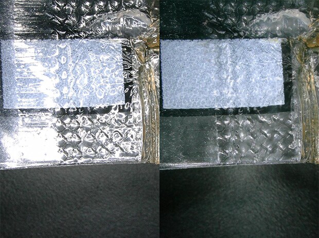VH-Z20, 20×, ring illumination; left : normal image, right : image after ring-reflection removal