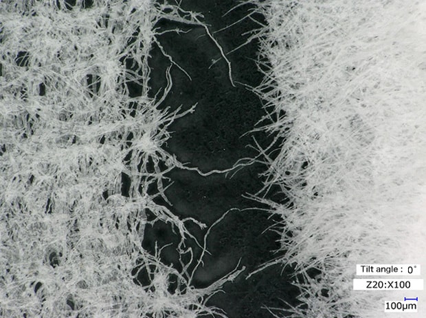 Low-magnification observation of fibers (100x)