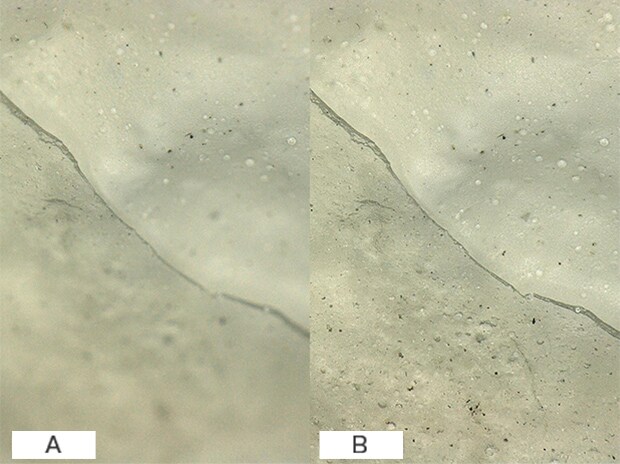 VH-Z20, 100×, ring illumination A : Normal image B : Depth composition image