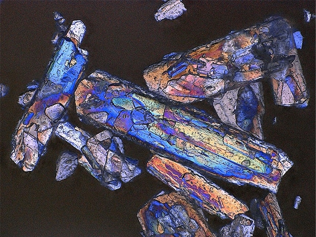 Amino acid crystals, 500x,<br>observation with transmitted polarized illumination