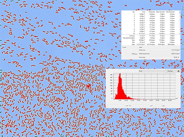 2D measurement image