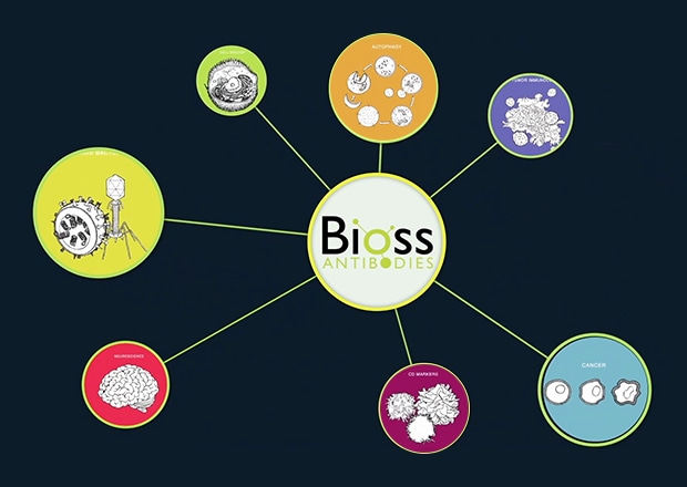 Figure 2-2: Bioss's Application Fields