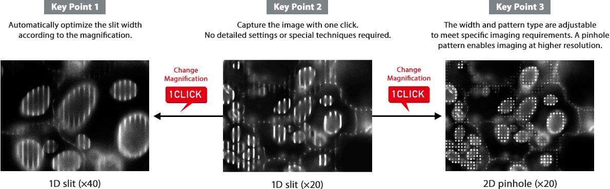 Figure 4-1: Structured Illumination Imaging