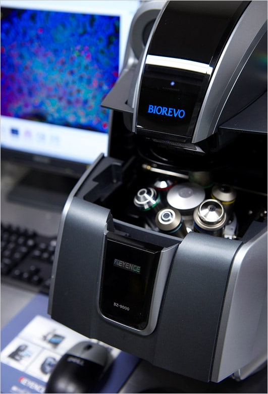 Image: The BZ Series in the Saya Laboratory