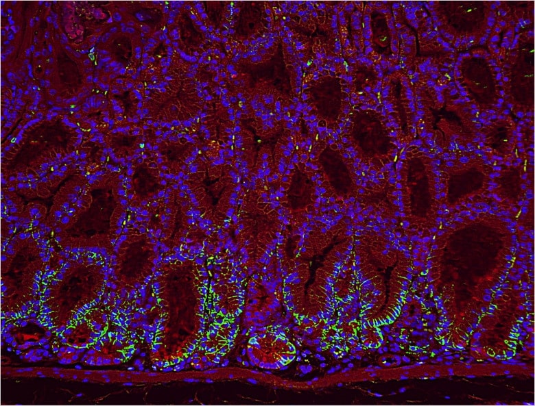 Image: Image after processing the above image with the haze reduction function