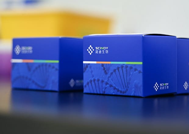 NeoLNP™ Series Transfection Reagent Kits