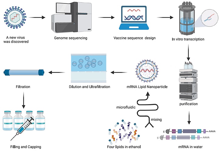 R&D Process Flowchart for mRNA-LNP (using a vaccine as an example)
