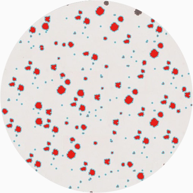 Well plate observation using a large stage