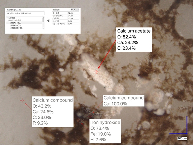 The parts with different colors were judged to be organic materials and were identified as rust.