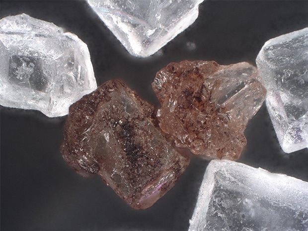Sugar crystals, 300x, observation with ring illumination