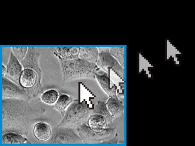 Readjust the X, Y, and Z positions on the basis of previously captured images.
