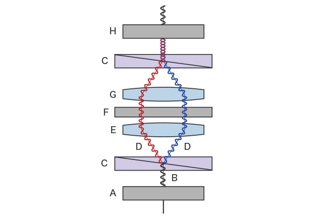 Schematic diagram of differential interference contrast observation