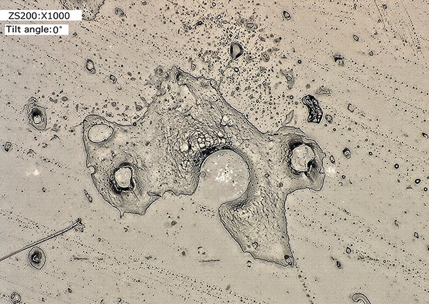 High-magnification observation of foreign particles (1000x)