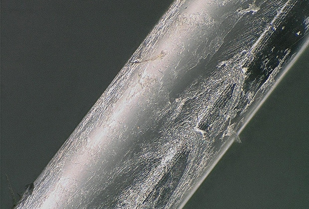 Observation of Optical Fibers Using a Digital Microscope