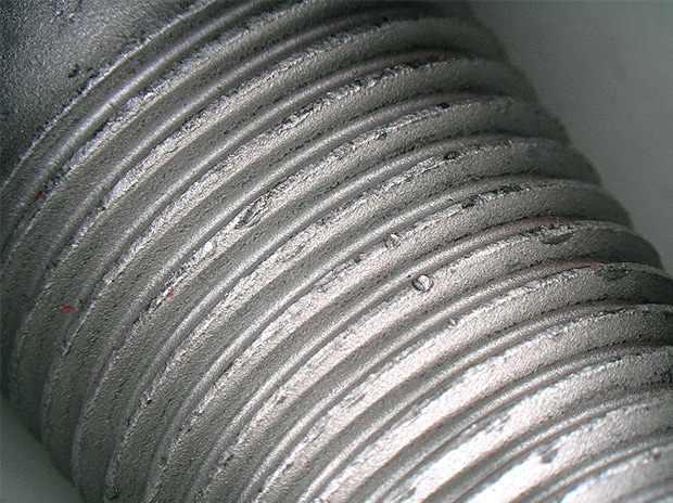 Macro image, 20x