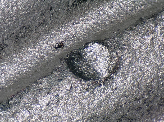 Magnified image, 200x