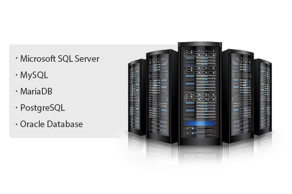 Microsoft SQL Server, MySQL, MariaDB, PostgreSQL, Oracle Database