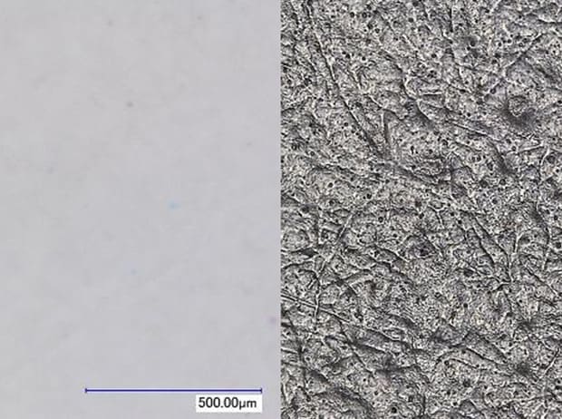 Left: normal/right: adjustable illumination