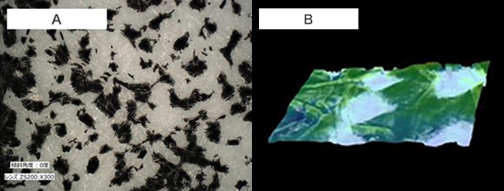 A. Analysis of faded sample (300x)  B. 3D shape measurement of faded sample