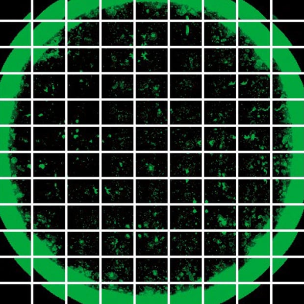 Image stitching