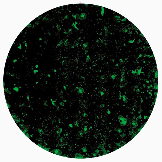 Image stitching