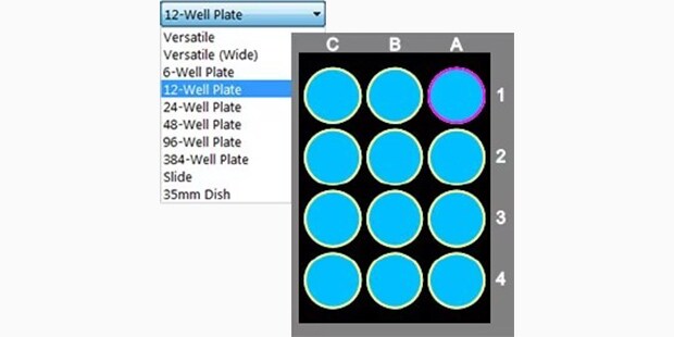 Simply select a sample holder and click to observe the desired area.
