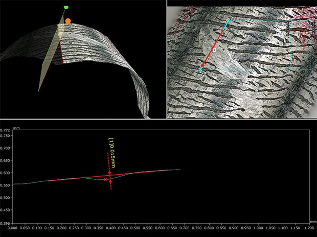 VH-Z20, 200×, ring illumination image