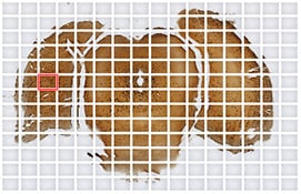 Image stitching