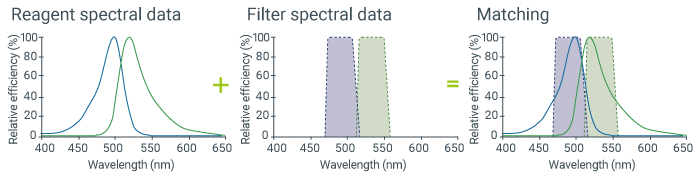 Match the fluorescence filter with the reagent.