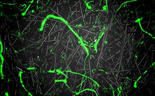 Distinguishing Binding Agents in Fibrous Materials