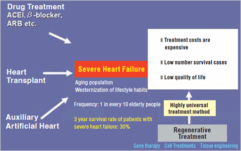 Image: Treatment strategies against severe heart failure...