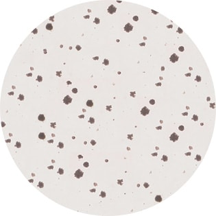 Well plate observation using a large stage