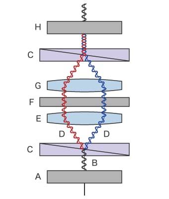 Schematic diagram of differential interference contrast observation
